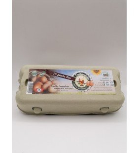 Freiland Eier 10 STK (L)